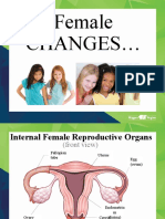 Internal Female Reproductive Organs