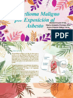 Diapositivas Mesoterioma Maligno