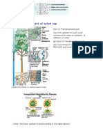 Visuals: Topics in Key Plant Functions