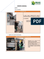 REPORTE SEMANAL 2