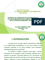 Evaluación de la eficiencia de remoción de contaminantes en humedales tropicales