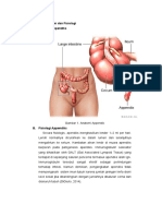 LP Appendisitis