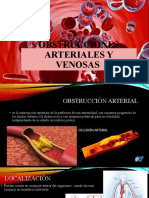 Obstrucciones Arteriales y Venosas