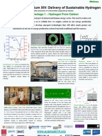 Work Package 1 - Hydrogen From Carbon