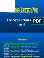 Dr. Syed Irfan Raza Arif