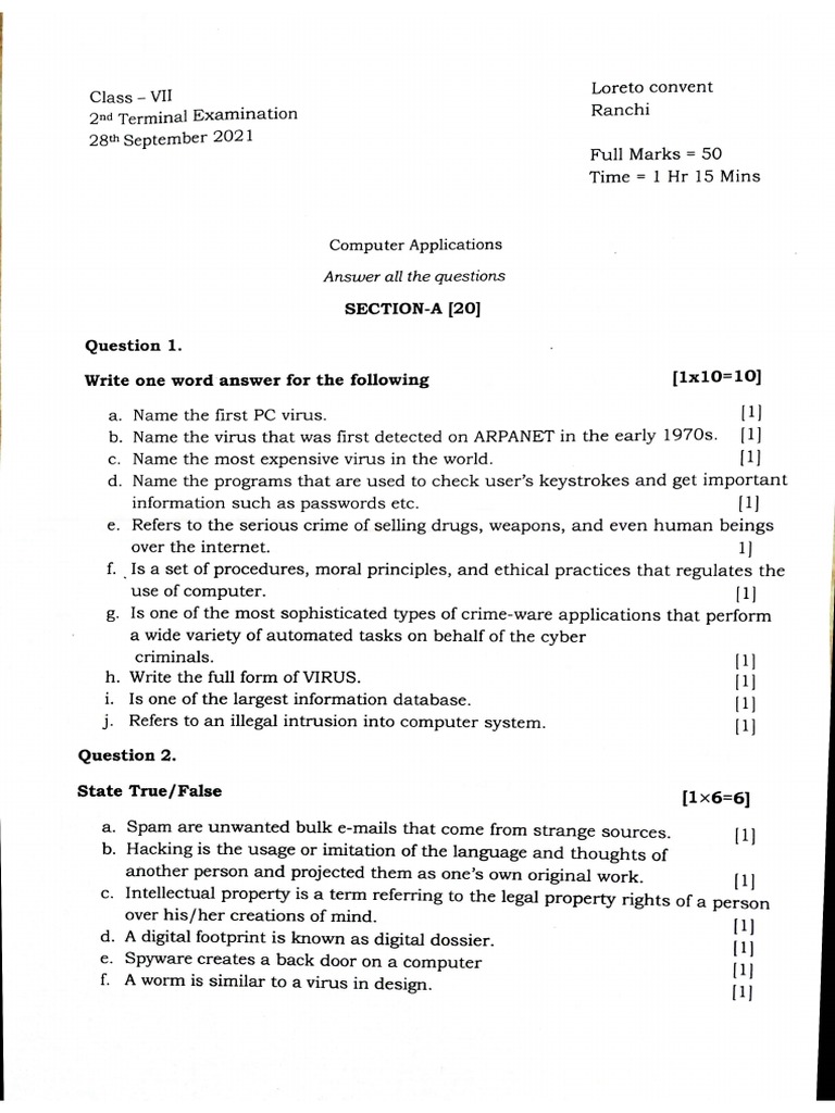 Class 7 - Computer | PDF