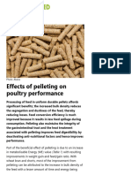 Effects of Pelleting On Poultry Performance - All About Feed