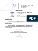 Histopatologia Nombre: Fecha: 5 de Abril de 2011 Numero: Solicita: Orden: Muestra