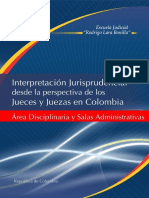 Interpretacion Jurisprudencial Area Disciplinaria