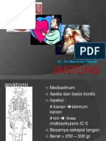 Biomedik JANTUNG