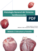 Cardiovascular