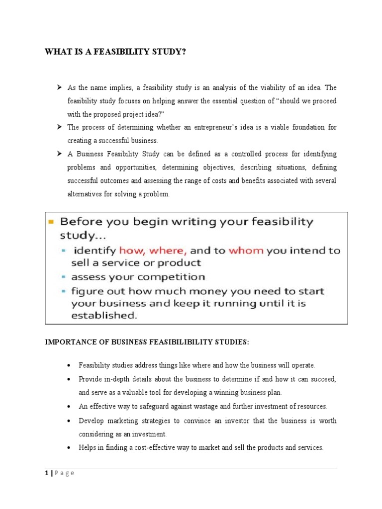 Understanding Business Feasibility Studies | PDF | Feasibility Study ...