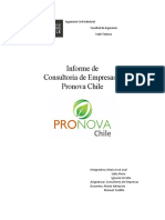 Informe Pronova ER N°2 Consultoría de Empresas