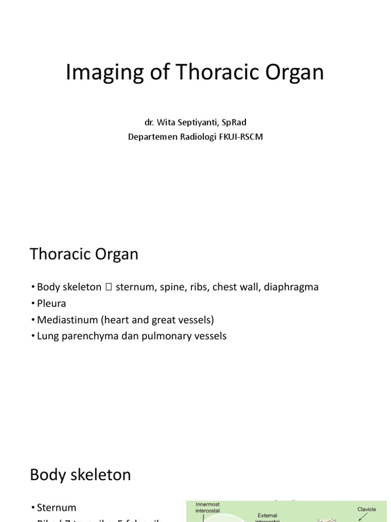 Thoracic Organ Imaging Techniques | PDF | Thorax | Medical Imaging