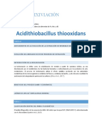 Acidithiobacillus Thiooxidans