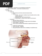 Respiratory System - Notes