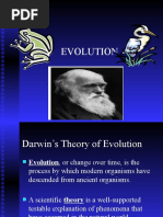 Darwin Evolution