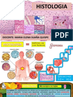 Ceprunsa 5 Histologia Oseo Interaccion