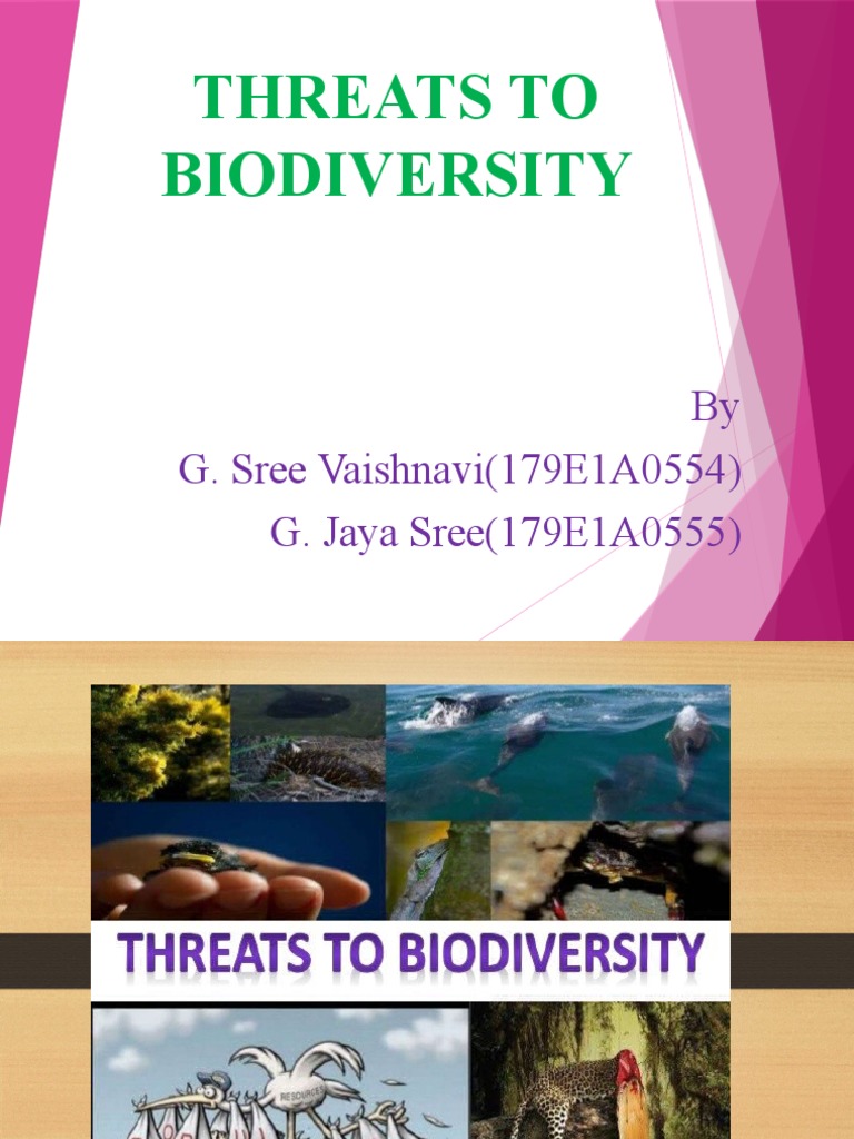 Threats to Biodiversity Explained | PDF | Biodiversity | Habitat ...