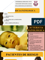 Ictericia Patologica Ks