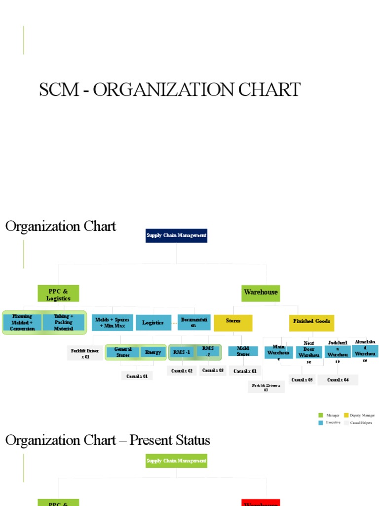 Organization Chart SCM V1 PDF Warehouse Inventory