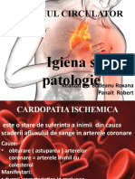 Igiena Si Patologia Sist. Circulator