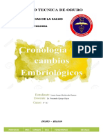 Cronologia de Cambios Embrionarios