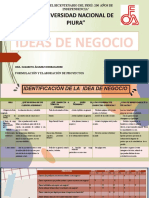 IDEA DE NEGOCIO - Investigacion Cualitativa Formulacion de Proyectos