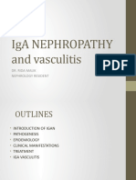 Iga Nephropathy and Vasculitis: Dr. Rida Malik Nephrology Resident