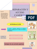 Preparación y Acceso Cameral Semana 4