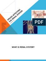 Drugs Affecting The Renal System (Group 3)