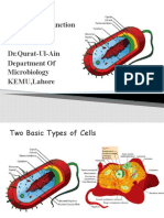 Bacterial Cell Structure Function