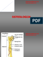 Osteologija 
