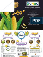 Mapa Conceptual Acerca de Los Factores de Deterioro de Granos (Maíz)