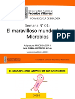 La importancia de la microbiología en la biotecnología y sus aplicaciones