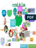 Mapa Mental de Las Proteínas