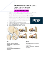 Resumo Aula 3 - Impacto Femoroacetabular (Ifa) e Artroplastia de Quadril
