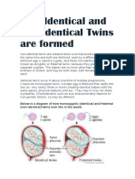 How Identical and Non Identical Twins Are Formed Biology Mid Term Homework