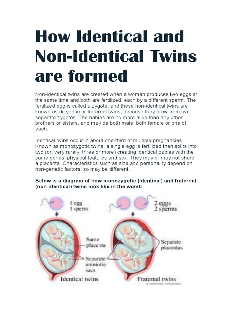 How Identical and Non Identical Twins Are Formed Biology Mid Term Homework PDF