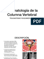 Traumatología de La Columna Vertebral. Traumatismo Raquimedular.