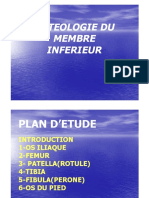 Osteologie Du Membre Inferieur - Os - Coxal - Femur - Patella