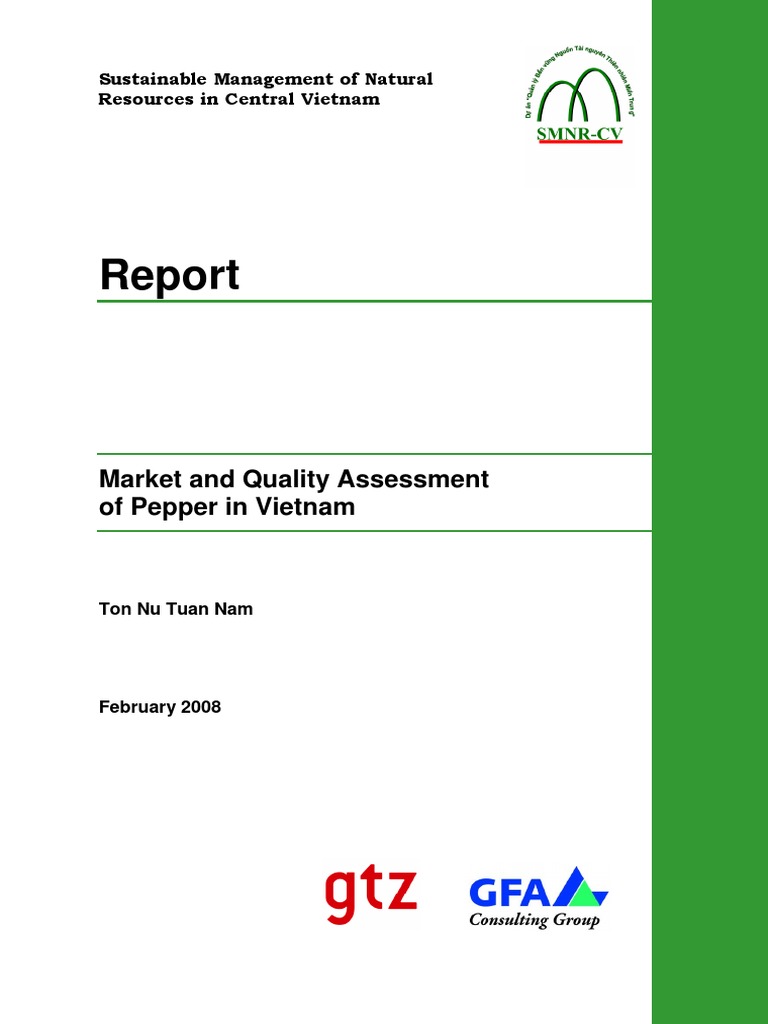 Vietnam Pepper Market Analysis Report | PDF | Black Pepper | Vietnam