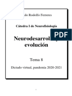 Tema 8 Neurodesarrollo y Evolución
