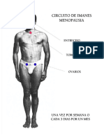 Circuitos para Imanes Con Colores