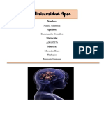 Memoria Humana: Tipos y Procesos