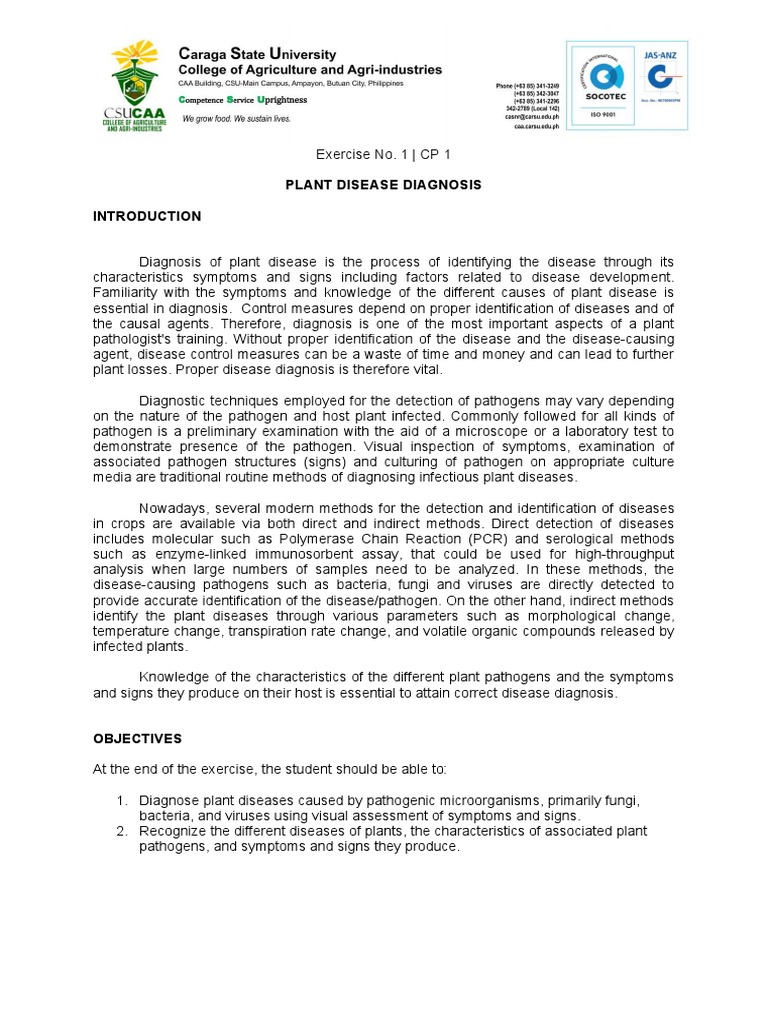 Plant Disease Diagnosis PDF Plant Pathology Infection