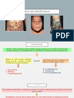 Micosis Profundas