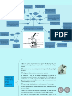 Microscopio Óptico Compuesto