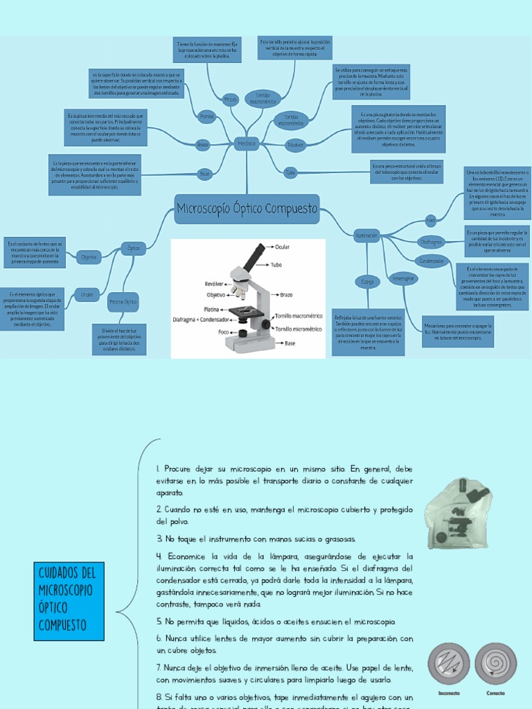 Microscopio Óptico Compuesto | PDF
