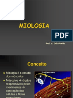 Miologia